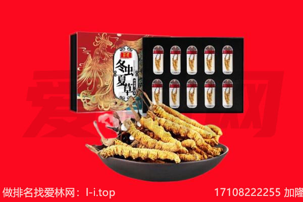 承德隆化县回收虫草.jpg